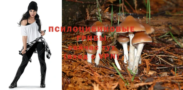 мет Горно-Алтайск