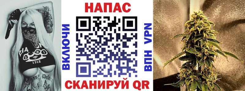 Шишки марихуана White Widow  нарко площадка официальный сайт  Ильский 